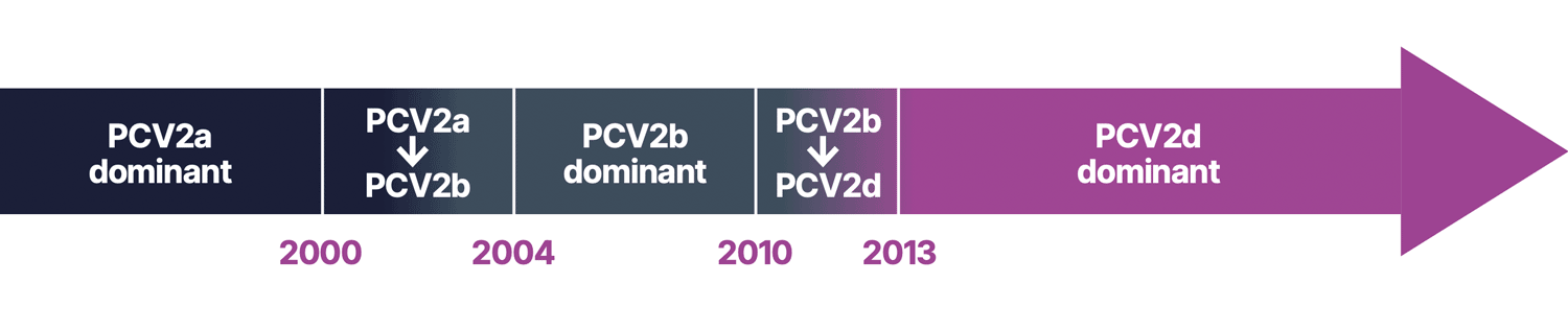 PCV-Genotypes-Timeline-C