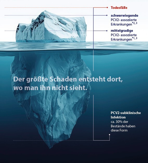 Eisberg_Grafik_blog