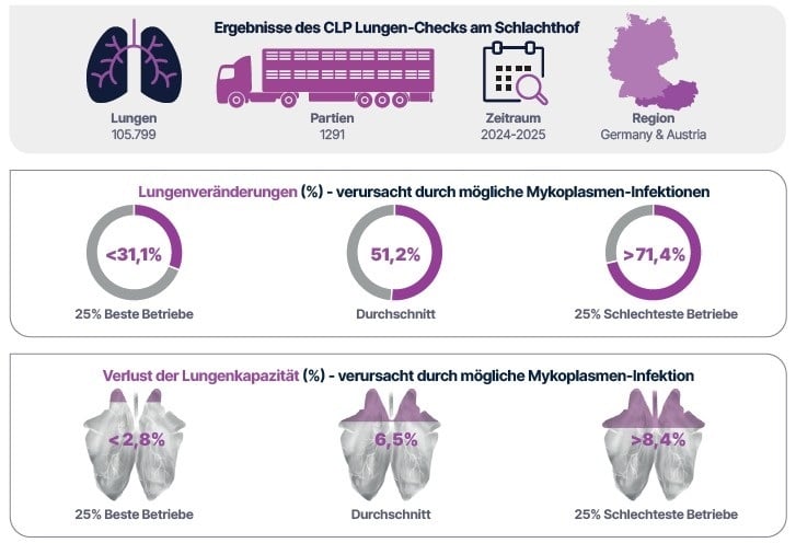 ergebnisse_CLP_mykoplasmen2