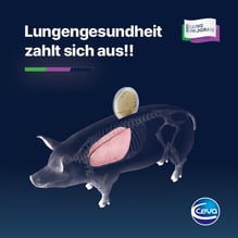 titel_folder_lungengesundheit-zahlt-sich-aus