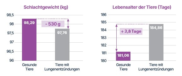 vgl-schlachtgewicht