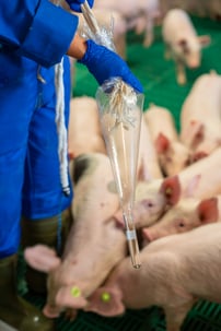 2024_09_Laer_Betrieb Jannik Schulze Pröbsting-03