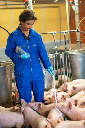 2024_09_Laer_Betrieb Jannik Schulze Pröbsting-06