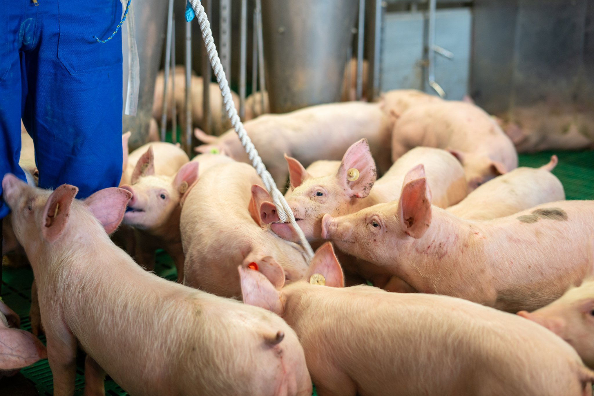 2024_09_Laer_Betrieb Jannik Schulze Pröbsting-07