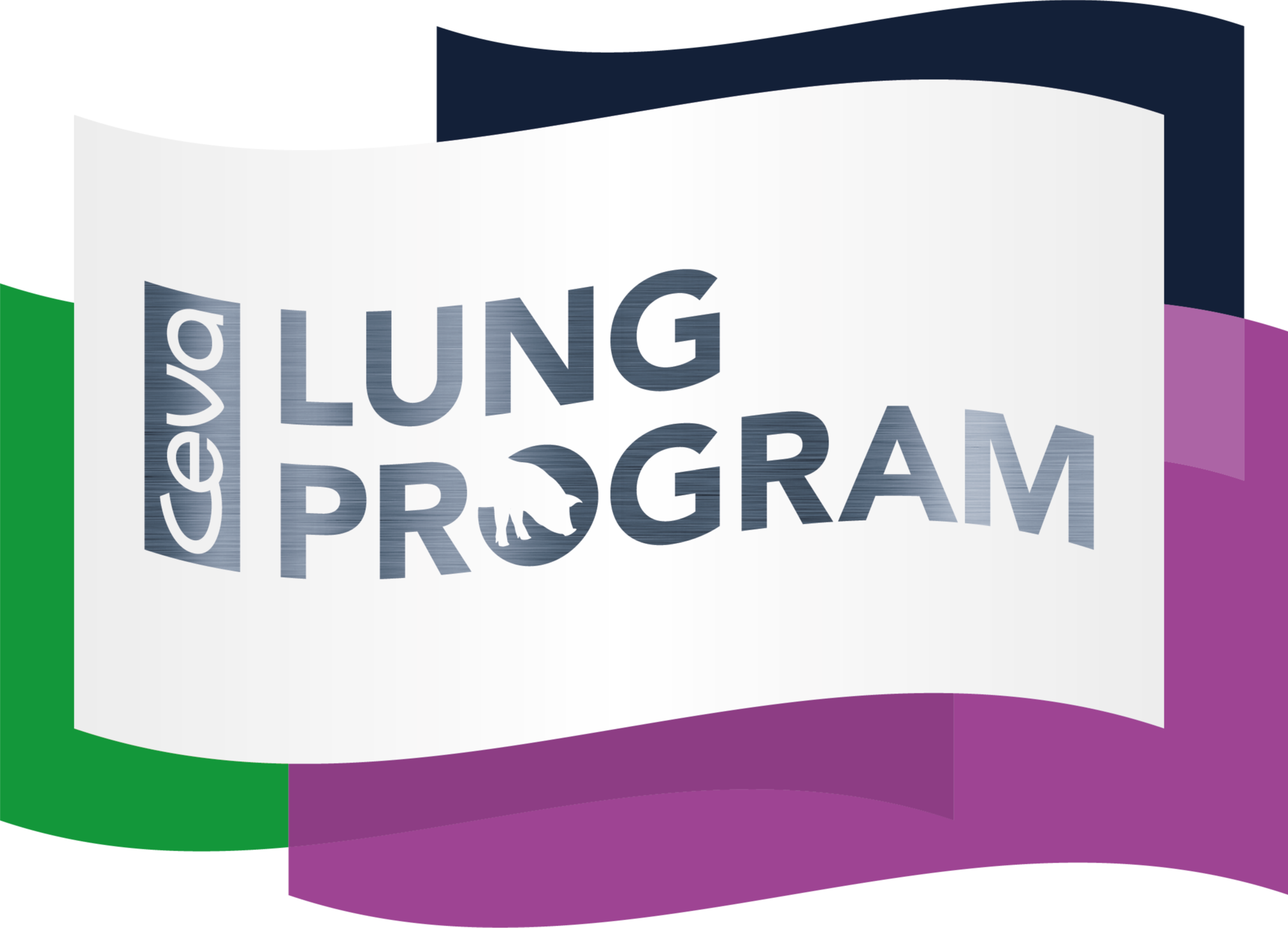 Logo_ceva_lung_program CMJN-no-bleed