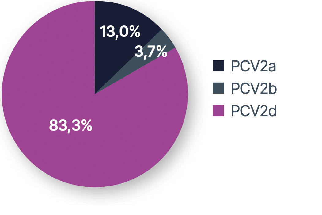 PCV2-Genotypen-1-Cropped