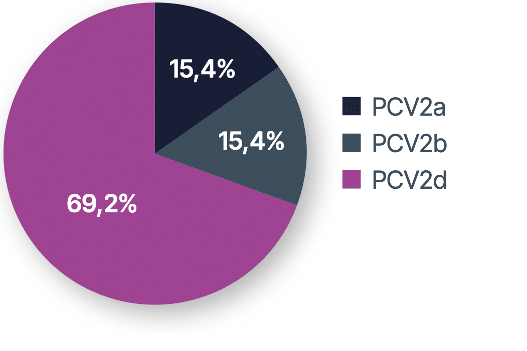 PCV2-Genotypen-2-Cropped