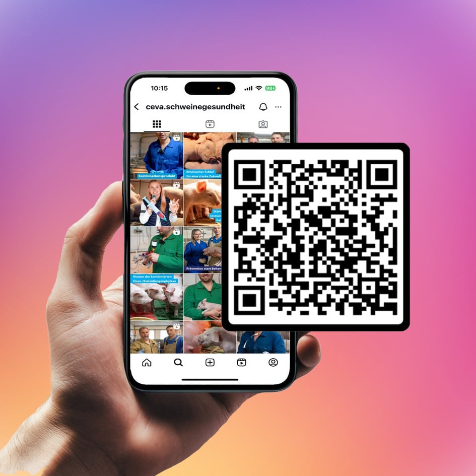 ceva-schwein-insta-comp-3