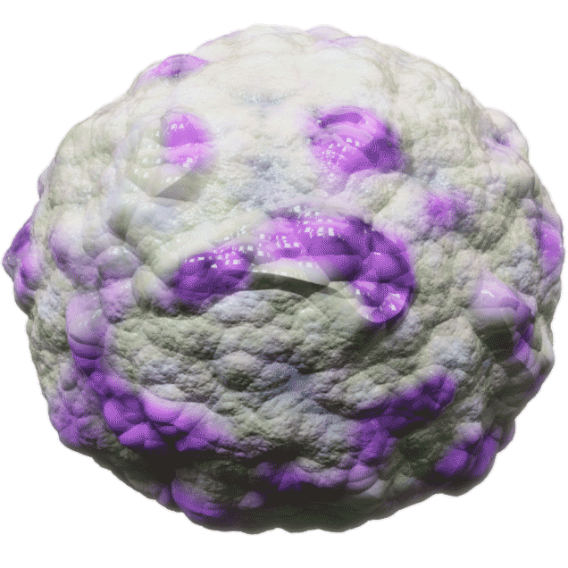 M hyo Bacteria
