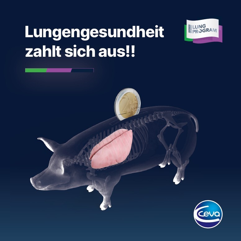 titel_folder_lungengesundheit-zahlt-sich-aus