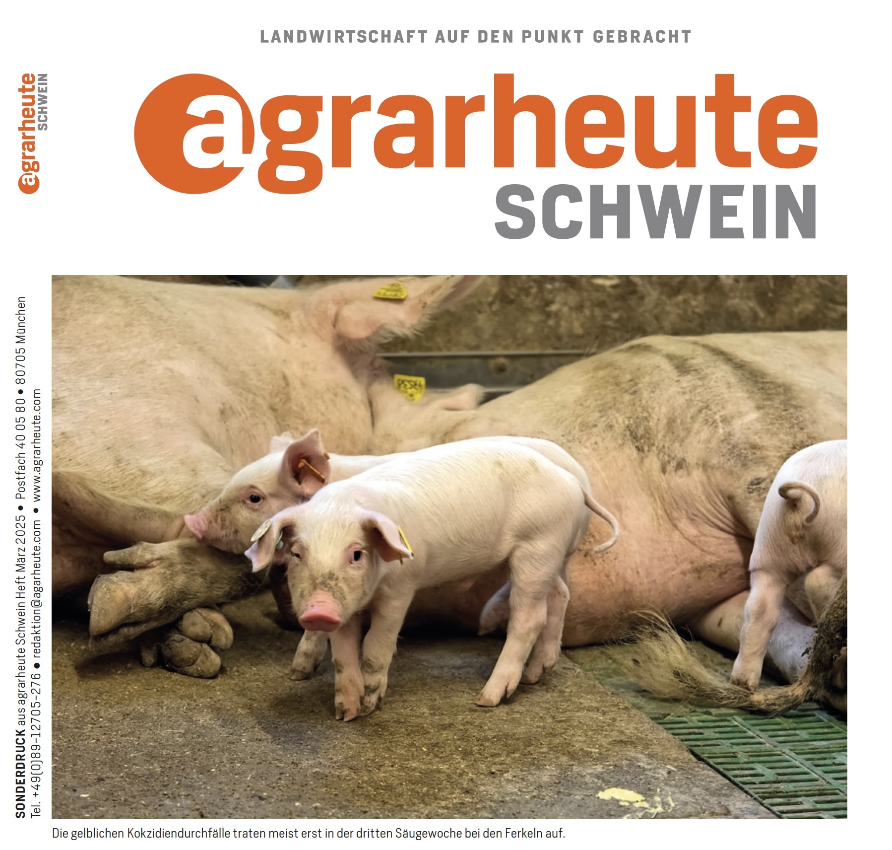 Agrarheute Darmgesundheit Sonderdruck agrarheute