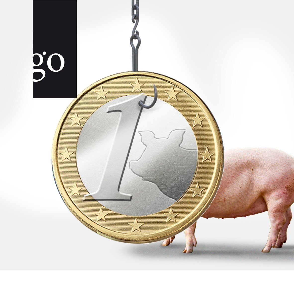 Visual Euro Schwein